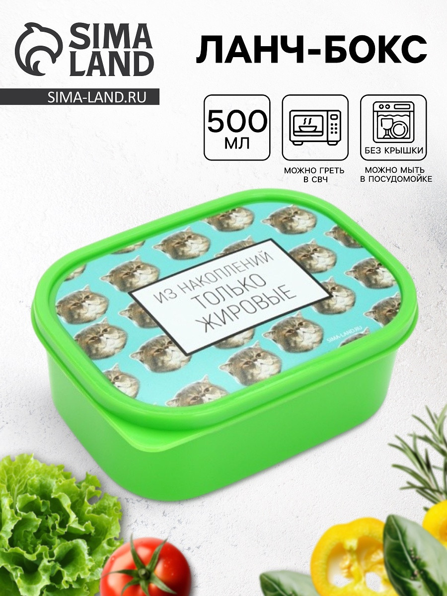 Ланч - бокс прямоугольный