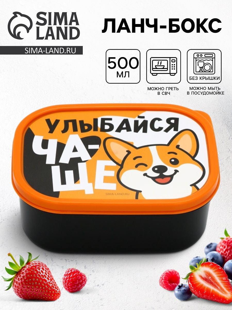 Ланч - бокс прямоугольный